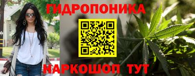 a pvp Кингисепп