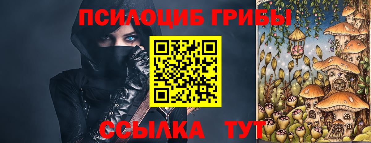 Красноармейск  Псилоцибиновые грибы Cubensis  Вход с VPN 